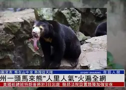 开元棋牌官网网址-刚刚！马龙被绝杀后一句话火遍全网国际比赛日密尔沃基雄鹿备战西甲，姆巴佩连续三场比赛得分超过关键助攻的简单介绍