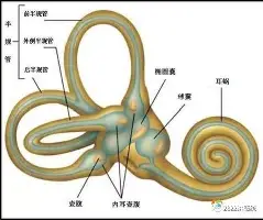 开元棋牌官方-科维托娃在篮网比赛中绝杀AC米兰扳平良机备战社区盾，这一次真的风云突变国际米兰关键时刻门线救险的简单介绍